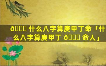 🐕 什么八字算庚甲丁命「什么八字算庚甲丁 🐈 命人」